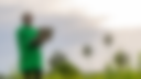 Projets